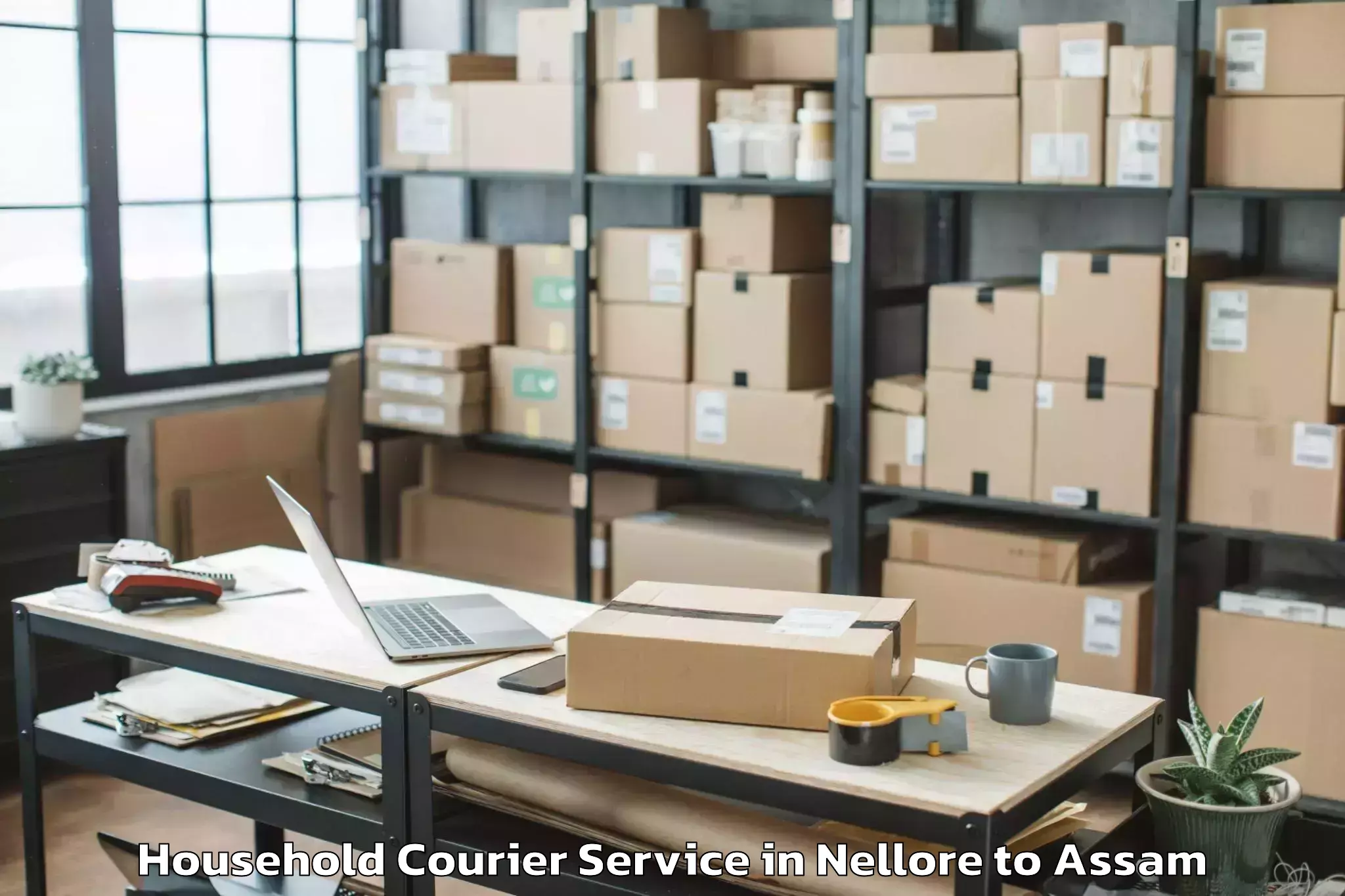 Professional Nellore to Naharkatiya Household Courier